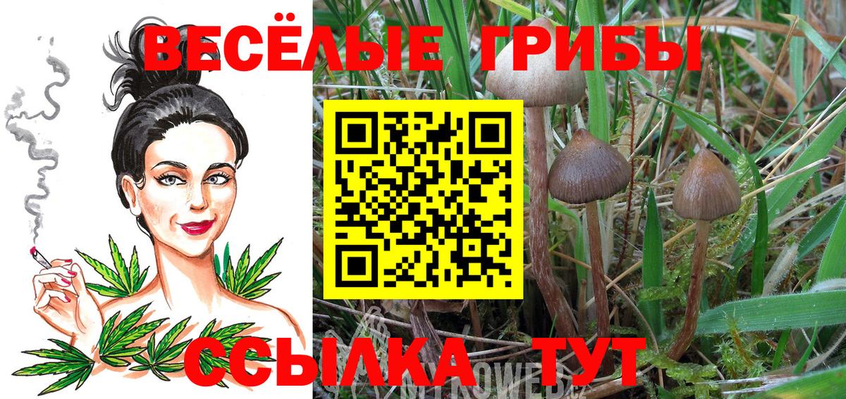 Галлюциногенные грибы Magic Shrooms Сосновоборск